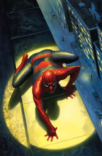 Spectacular Spider-Man #300 Ratio Variants